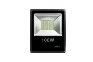Прожектор светодиодный 5630 6500К Холодный белый FL-SMD-100-CW