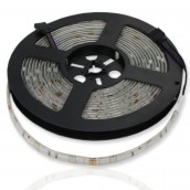 Светодиодная лента Econom class, 5050, 30led/m, 12V, IP65 Светодиодная лента Econom class, 5050, 30led/m, 12V, IP65