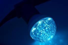 Лампа шар E27 10 LED Ø50мм синяя 24V