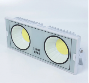 Светодиодный прожектор (100W, 220V, cool white)